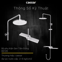 Thân cây sen tắm đứng nóng lạnh Caesar BS126