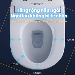 Nắp Bồn Cầu Điện Tử Caesaer TAF710H