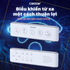 Bồn Cầu 1 khối CAESAR C1363F Nắp Rửa Điện Tử TAF610H