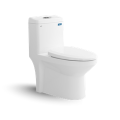 Bàn cầu một khối Viglacera S301