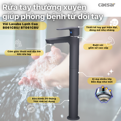 Vòi Lavabo Caesar B061CBU Lạnh Thân Cao Màu Đen