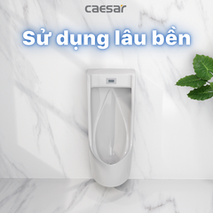Bồn tiểu nam Caesar UA0283 treo tường + xả tiểu cảm ứng