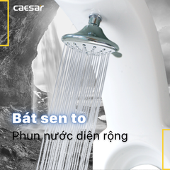 Sen thuyền Caesar SP149 nóng lạnh