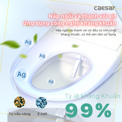 Nắp Bồn Cầu Điện Tử Caesaer TAF710H