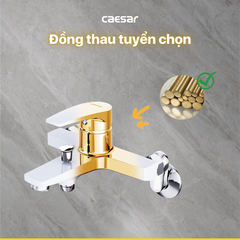 Vòi Hoa Sen CAESAR S393CW Màu Trắng Tay Sen Massage Nóng Lạnh