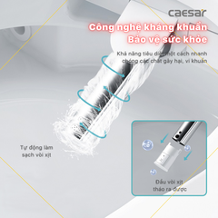Bồn Cầu 1 khối CAESAR C1363F Nắp Rửa Điện Tử TAF610H