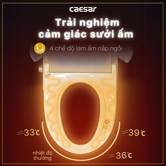 Nắp Bồn Cầu Điện Tử CAESAR TAF512H Đa Năng