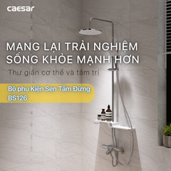 Thân cây sen tắm đứng nóng lạnh Caesar BS126