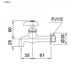 Vòi gắn tường TOTO T23B13