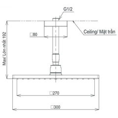 Bát sen gắn trần TOTO TBW08003A1 Vuông 300mm Dòng G