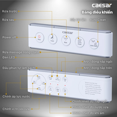 Bồn Cầu 1 khối CAESAR C1363F Nắp Rửa Điện Tử TAF610H
