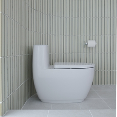 Bồn cầu 1 khối INAX AC-1052VN Aqua Ceramic (AC1052VN)