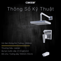 Sen tắm đứng âm tường Caesar BS644 nóng lạnh