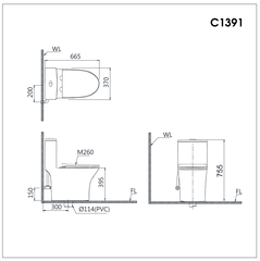 Bồn cầu 1 khối Caesar C1391