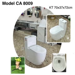 Bồn cầu 1 khối CARO 8009