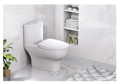 Bồn cầu 1 khối Caesar C1375 nắp êm