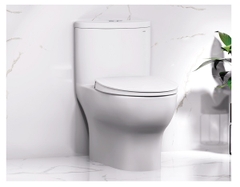 Bồn cầu 1 khối Caesar C1375 nắp êm