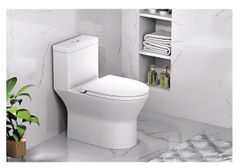 Bồn cầu 1 khối Caesar C1374
