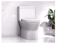 Bồn cầu 1 khối Caesar C1374