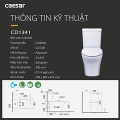 Bồn cầu 2 khối Caesar CD1341