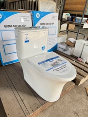 Bồn cầu 1 khối Aqua C-43