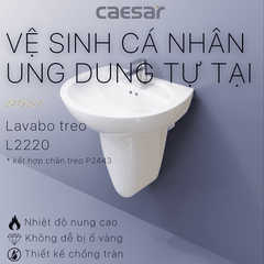 Lavabo chậu rửa mặt Caesar L2220 treo tường