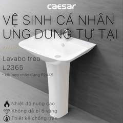 Lavabo chậu rửa mặt Caesar L2365 treo tường chân dài