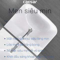Lavabo chậu rửa mặt Caesar L2365 treo tường chân dài