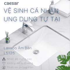 Lavabo chậu rửa mặt Caesar L5125 âm bàn
