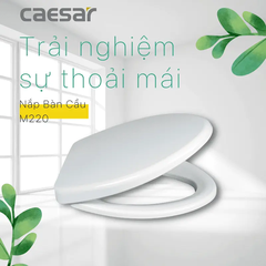 Nắp Bàn Cầu Caesar M220 Rơi Êm
