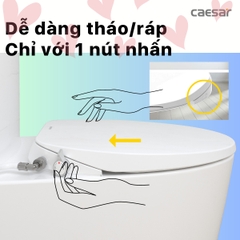 Nắp Bồn Cầu Rửa Cơ Caesar TAF060 Đa Năng