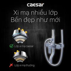 Cây sen tắm Caesar S1028S nóng lạnh