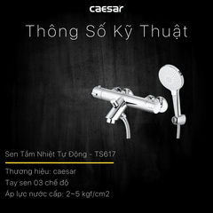 Vòi sen tắm nóng lạnh Caesar TS617C tự động
