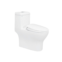 Bồn cầu 1 khối Viglacera V45M xả xoáy