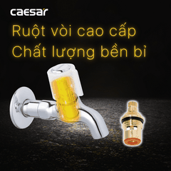 Vòi gắn tường Caesar W037C