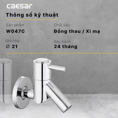 Vòi gắn tường Caesar W047C