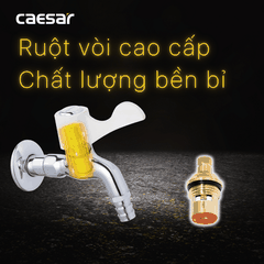 Vòi gắn tường Caesar WP027C