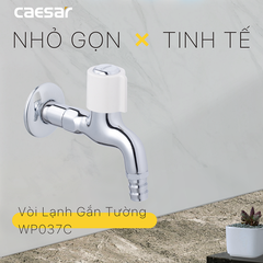 Vòi gắn tường Caesar WP037C