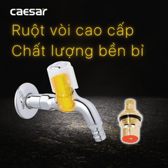 Vòi gắn tường Caesar WP037C