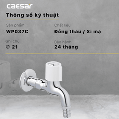 Vòi gắn tường Caesar WP037C