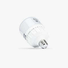 [Rạng Đông] Đèn LED Bulb Trụ 20W TR80N1