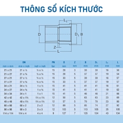 [Bình Minh] Nối Ren Trong PVC-U Bình Minh