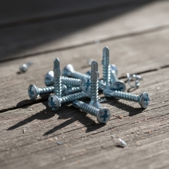 [Dinosaur] Vít sàn cánh