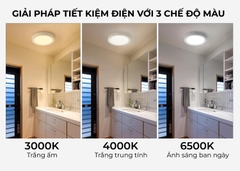 Đèn LED ốp trần LN12N 170/12W 6500K SS