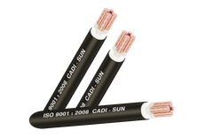 Cáp điện lực hạ thế CXV 3×25+1×16