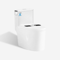 [Rangos] Bồn cầu vệ sinh bằng sứ một khối RG-8082B