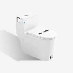 [Rangos] Bồn cầu vệ sinh bằng sứ một khối RG-8089