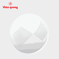 Bộ đèn LED ốp trần ĐQ LEDCL08 10 ( 10W D255mm ) Điện Quang