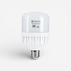 [Rạng Đông] Đèn LED Bulb Trụ 20W TR80N1