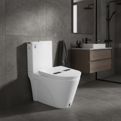 [Rangos] Bồn cầu vệ sinh bằng sứ một khối RG-8029